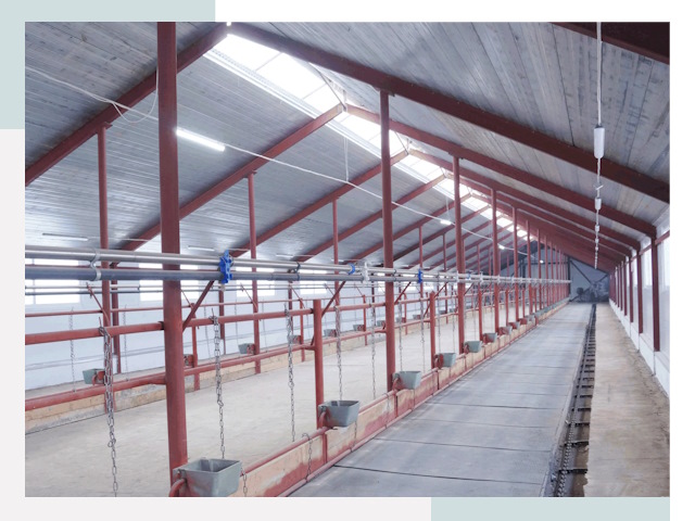 Строительство коровников в Сочи от 620 руб.