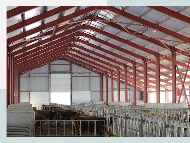 Строительство коровников в Сочи